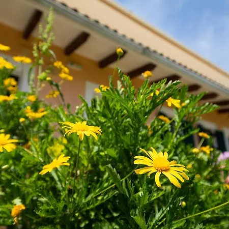 Gerasimo's Lägenhet *