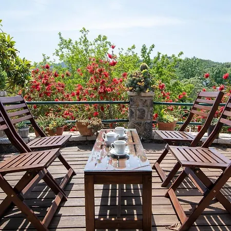 Lägenhet Gerasimo's